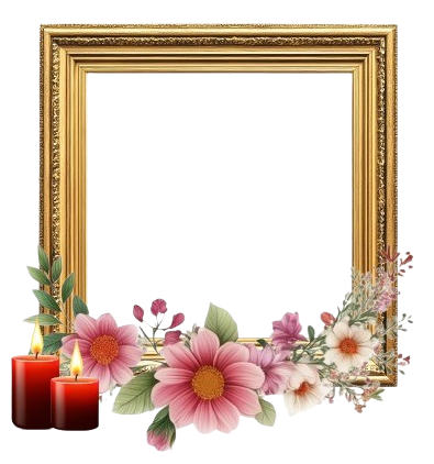 frame1